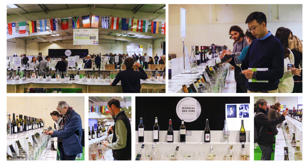 Capture d’écran 2024 08 28 160241 Capture d’écran 2024 08 28 160241